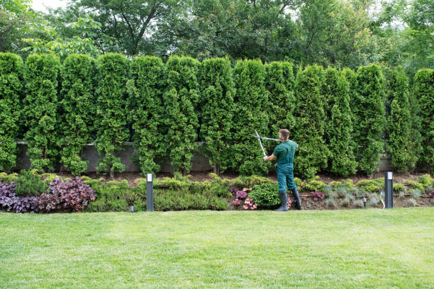 Mulching Services in Crouch Mesa, NM
